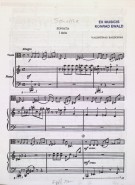 Umschlag / Cover