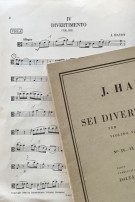 Umschlag / Cover 2